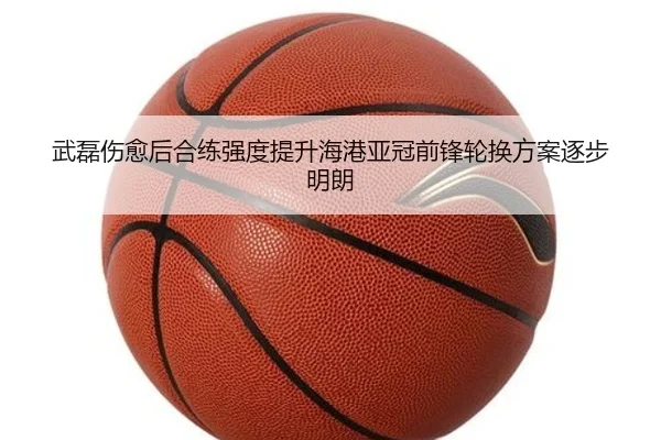 武磊伤愈后合练强度提升海港亚冠前锋轮换方案逐步明朗